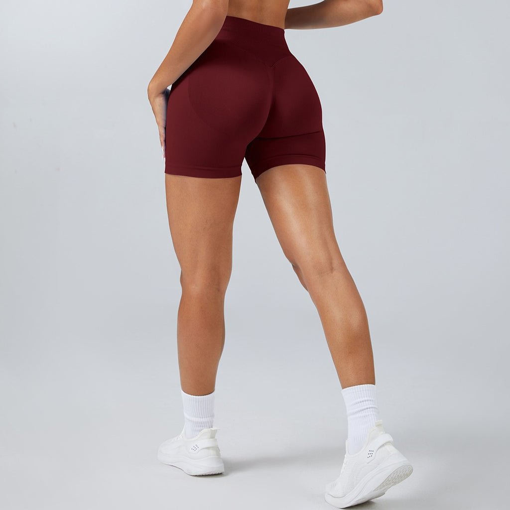 Quick Dry Women’s Yoga Shorts Seamless Gym Fitness