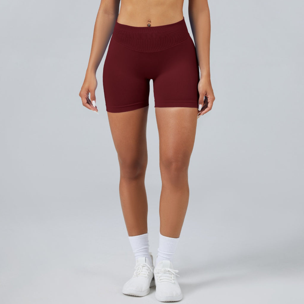 Quick Dry Women’s Yoga Shorts Seamless Gym Fitness